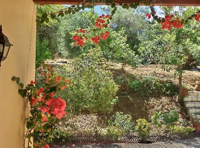 Gastouri Pascalia With Heated Pool In October And Views Villa